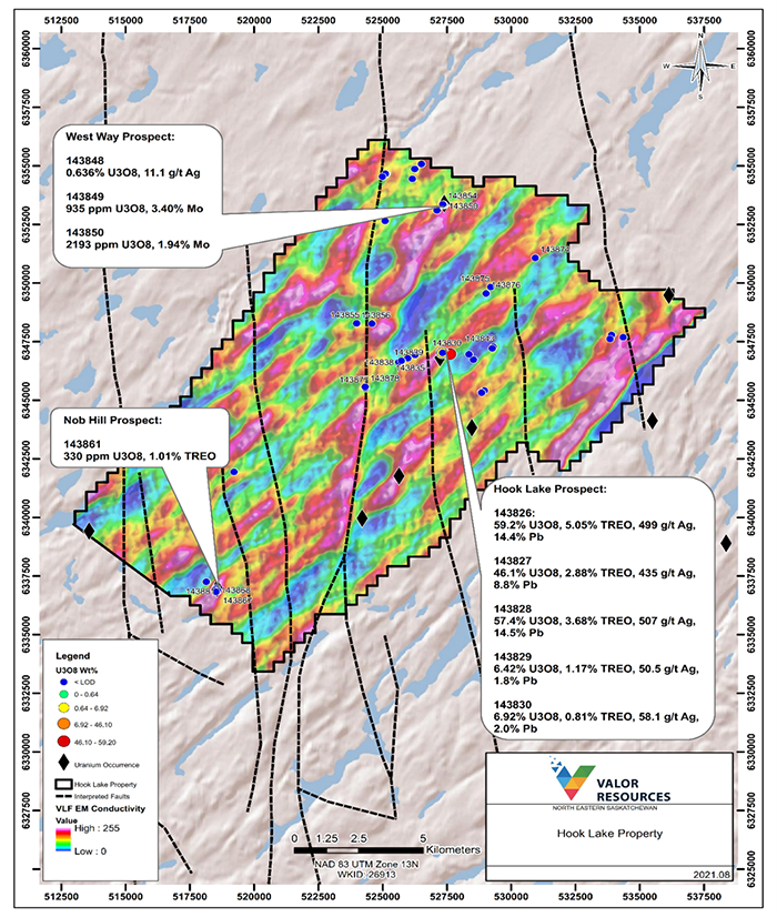 Sample results across the Hook Lake Property: