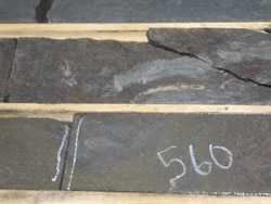 South Bay Project 2008 Drill Core (VMS) Pictures