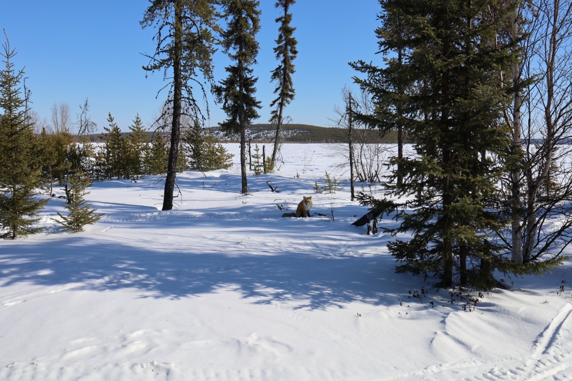 Hook Lake Project Image